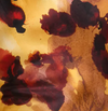 Amber Floral Print