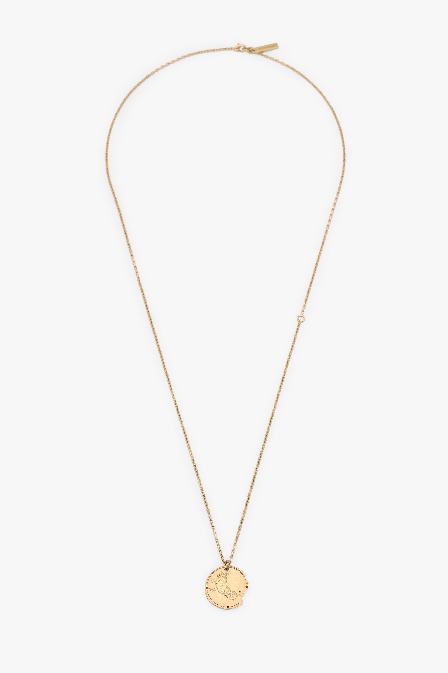 Capricorn Zodiac Necklace