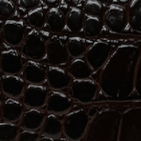 Close-up of a dark, textured surface with an embossed crocodile print resembling alligator skin. The calf leather is glossy and raised, creating a tactile appearance, perfect for the stylish B Pouch Bag In Croc Effect Espresso Leather by Victoria Beckham.
