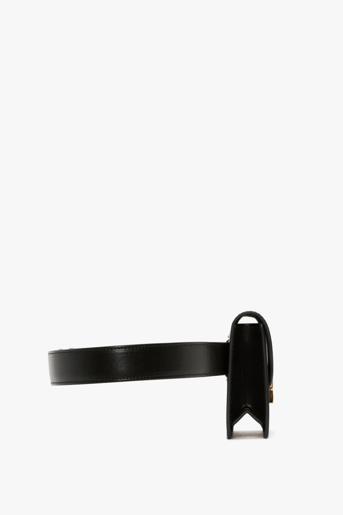 Nano Dorian Belt Bag In Black Smooth Leather