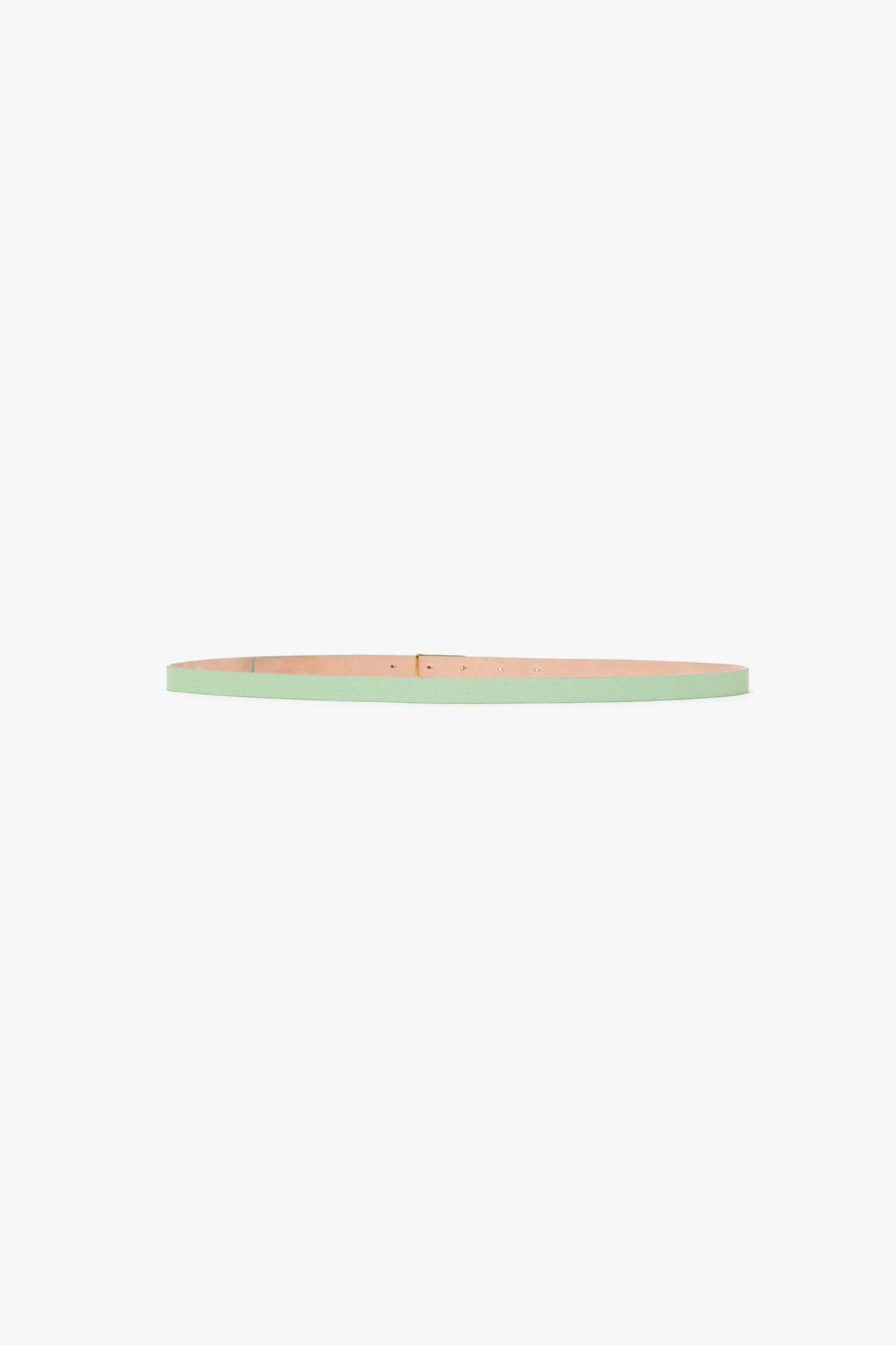 Micro Frame Belt In Jade Grained Leather