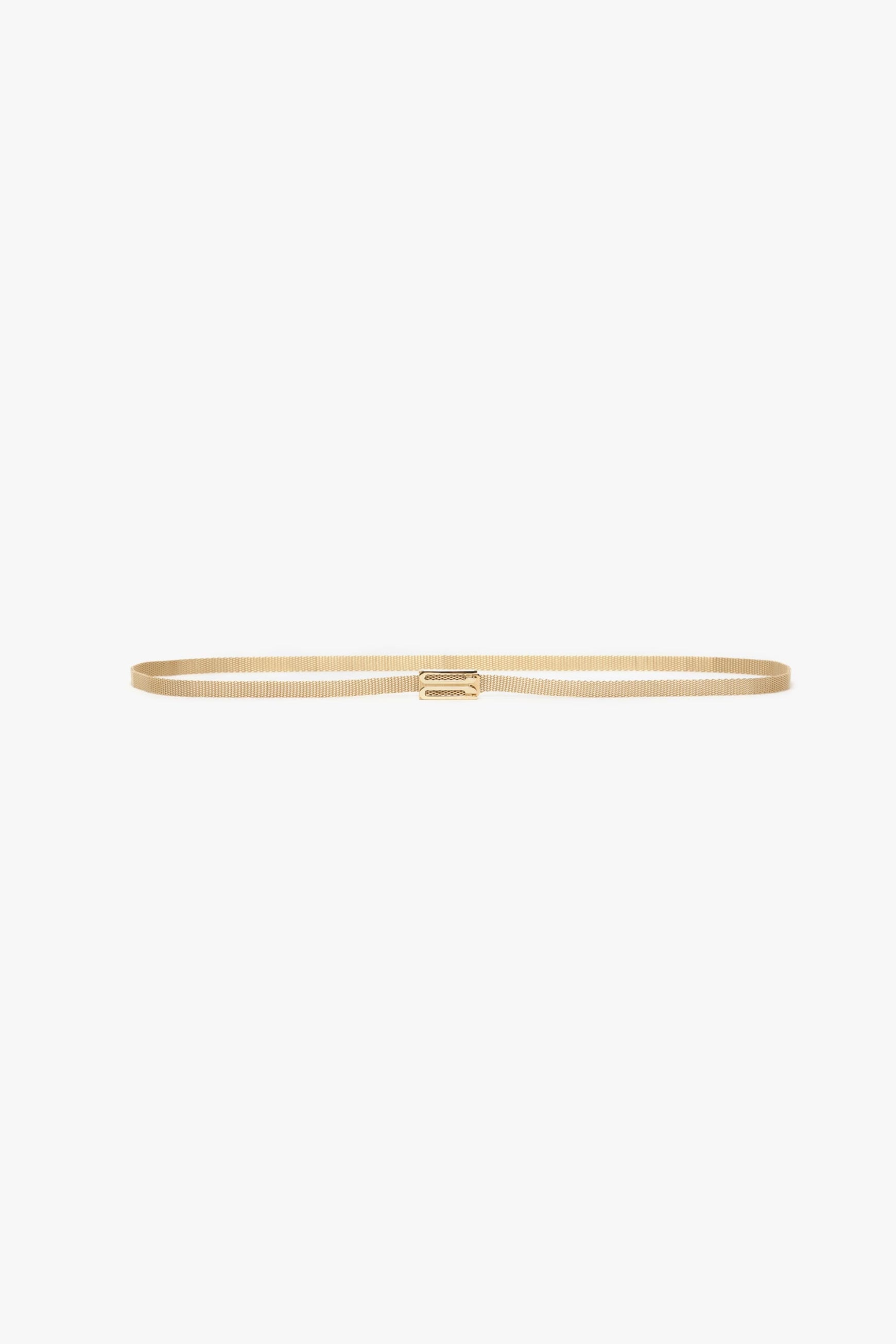 Brass Micro Frame Belt In Light Gold