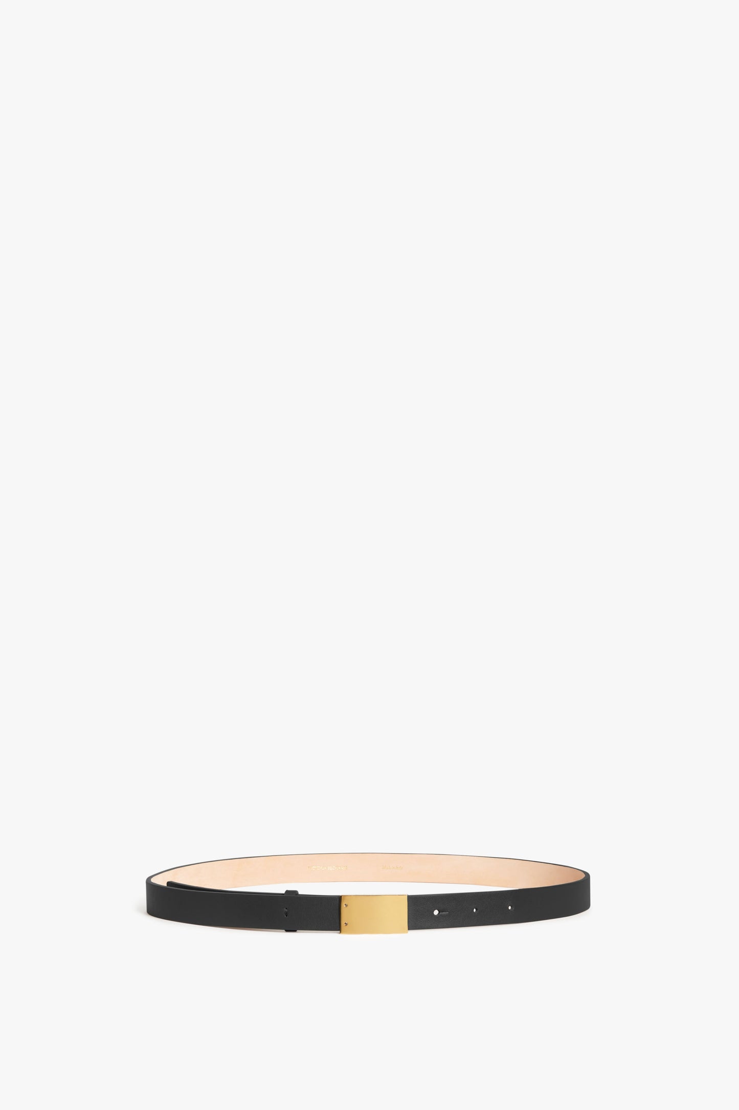 Thin Belt With Plaque Buckle In Black